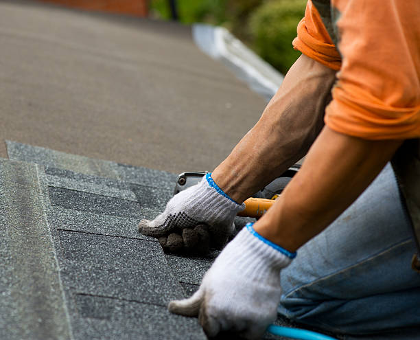 Best Gutter Installation and Roofing  in Richlands, NC