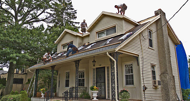 Best Roof Maintenance Services  in Richlands, NC