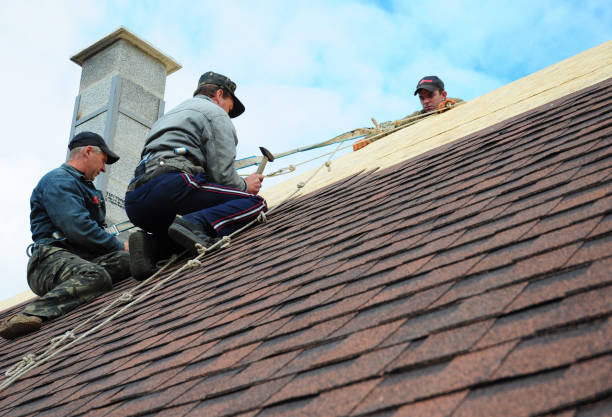 Best Roof Repair Specialists  in Richlands, NC